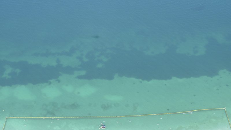 Coogee Beach