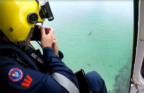 Read more about the 2022 Rookies Lifeguard Program. Let's congratulate all recruits who have challenged themselves.