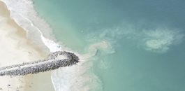 Drone Patrol has been operating at WA beaches since 2016. It plays a crucial role in coastal safety and identifying emergencies on the coast.