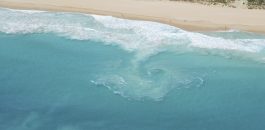 Surf Life Saving WA collects and analyses a range of coastal drowning data and lifesaving patrol information to identify coastal safety trends and issues.