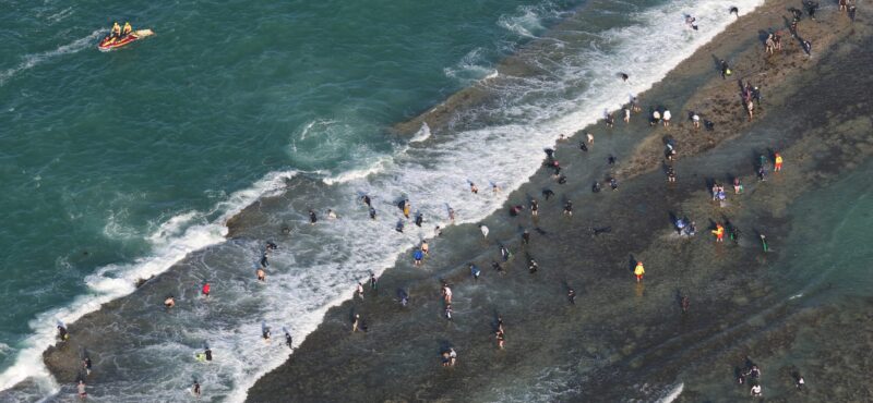 lifesavers on edge ahead of final abalone session