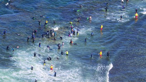 lifesavers warn against complacency